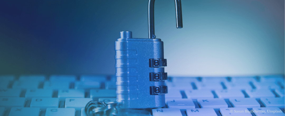 Steward Ownership.com  Story Image (5)